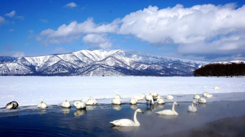 北海道自由行 北海道自由行