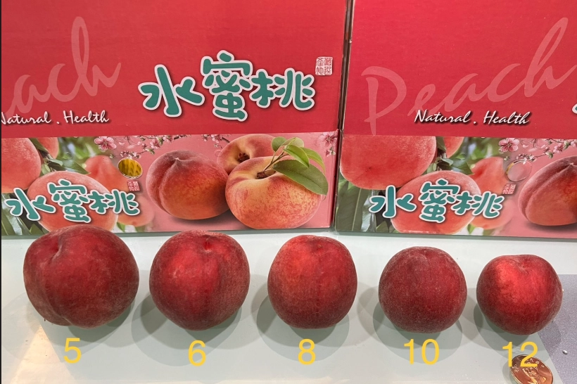 一顆水蜜桃熱量多少？減脂、血糖族群都該知道的份量算法
