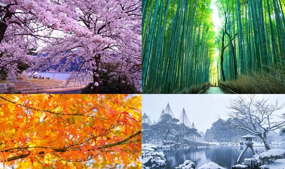 北海道旅遊季節 北海道旅遊季節