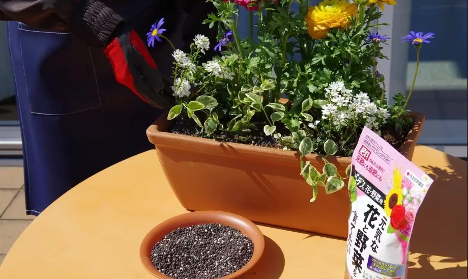開花結果肥料怎麼挑？果樹與茄科作物實測施肥筆記
