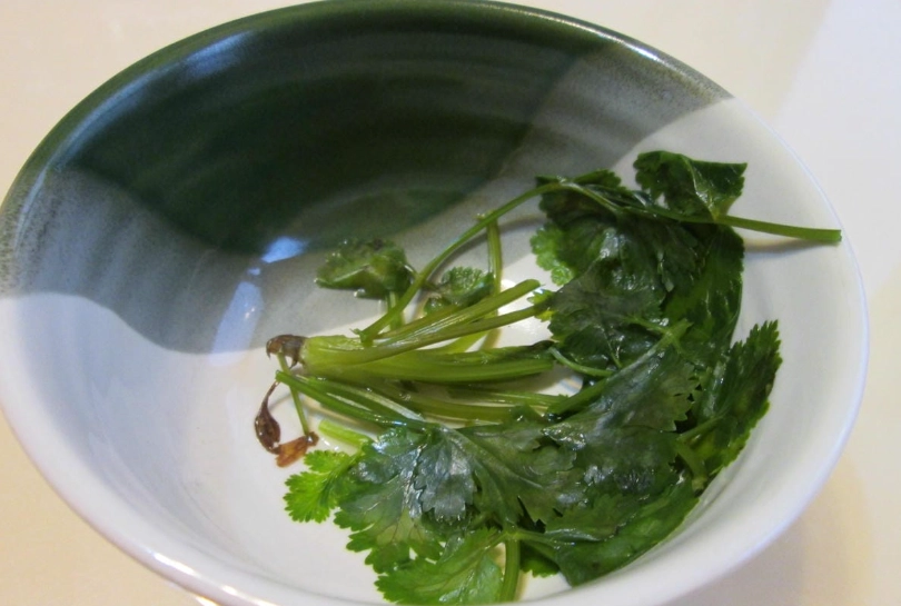 香菜水的功效：排重金屬是真的嗎？搞懂怎麼煮、誰不能喝