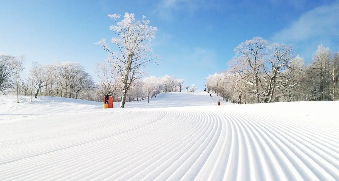 名古屋滑雪場推薦 名古屋滑雪場推薦