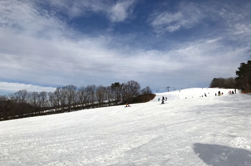 名古屋滑雪場推薦 名古屋滑雪場推薦