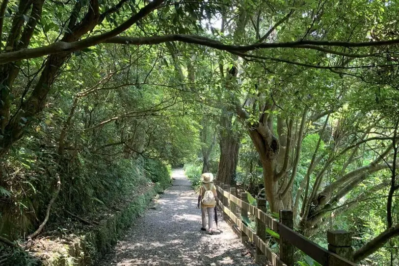 天母水管路步道 天母水管路步道