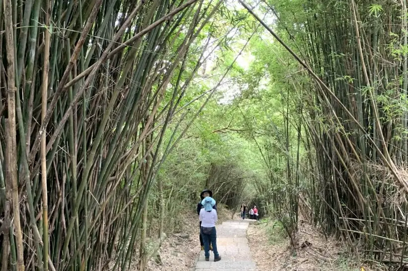 天母水管路步道 天母水管路步道
