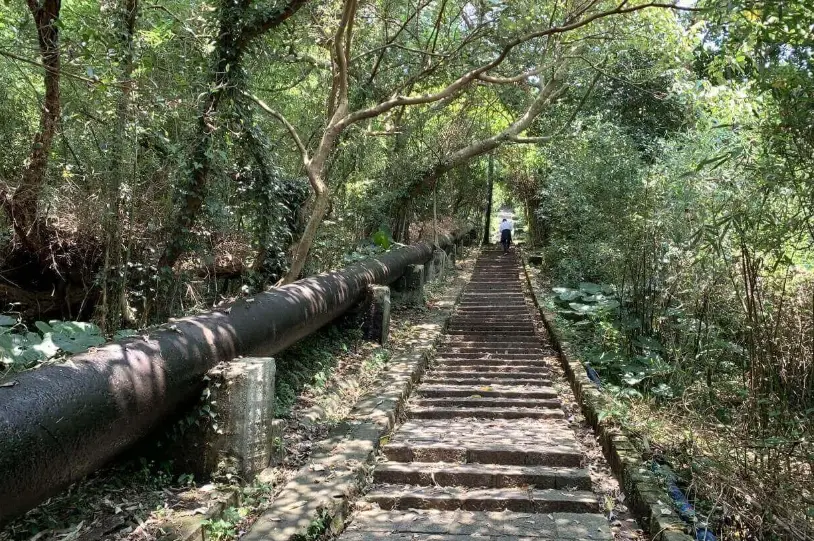 天母步道怎麼走？天母古道水管路步道交通、路線與爬升實測