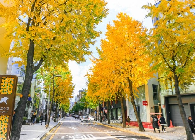 首爾韓國自由行