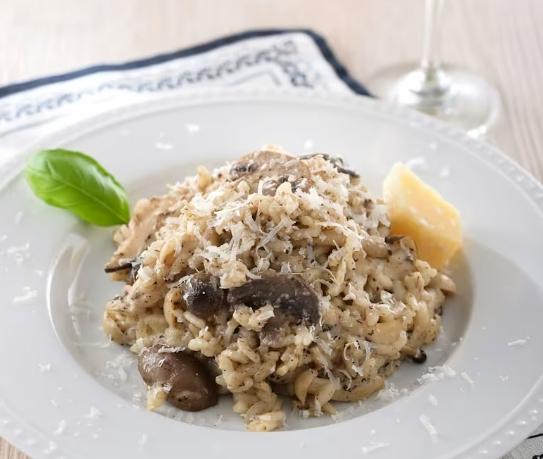 新竹寵物友善餐廳 Top 10推薦