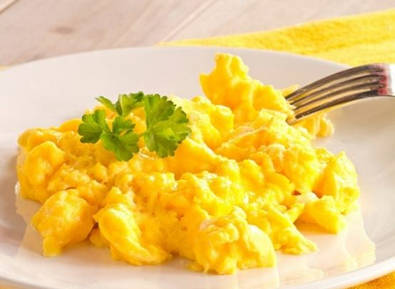 新竹寵物友善餐廳 Top 10推薦