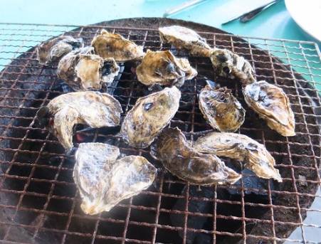 台南蚵仔吃到飽