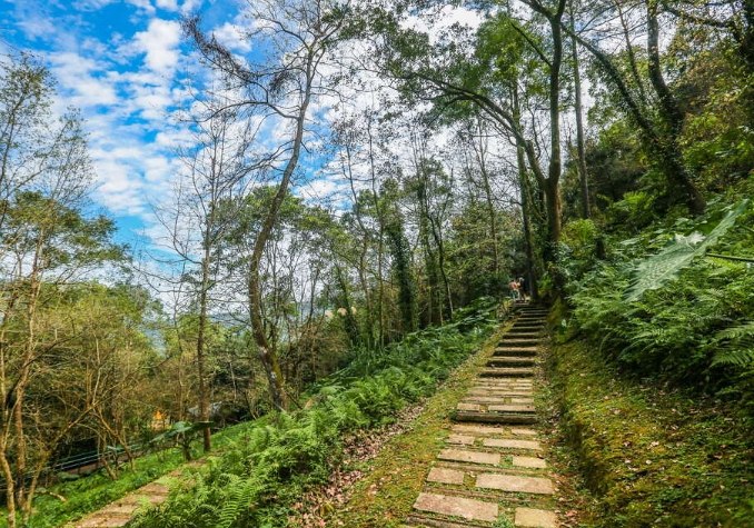 國家森林遊樂區