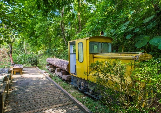 國家森林遊樂區