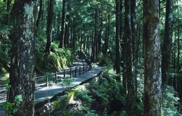 國家森林遊樂區