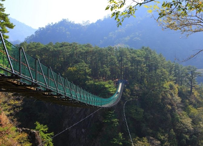 國家森林遊樂區