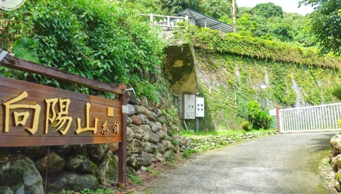 花蓮向陽山