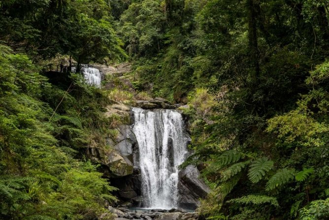 國家森林遊樂區