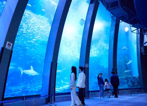 八景島水族館