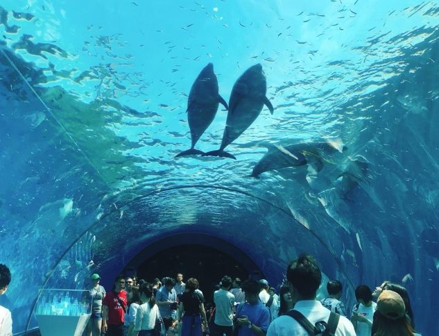 八景島水族館