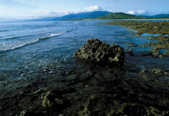 台灣潮間帶旅遊