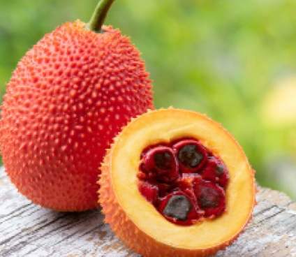 木鱉果油膠囊 功效