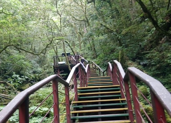 拉拉山神木群步道步行時間