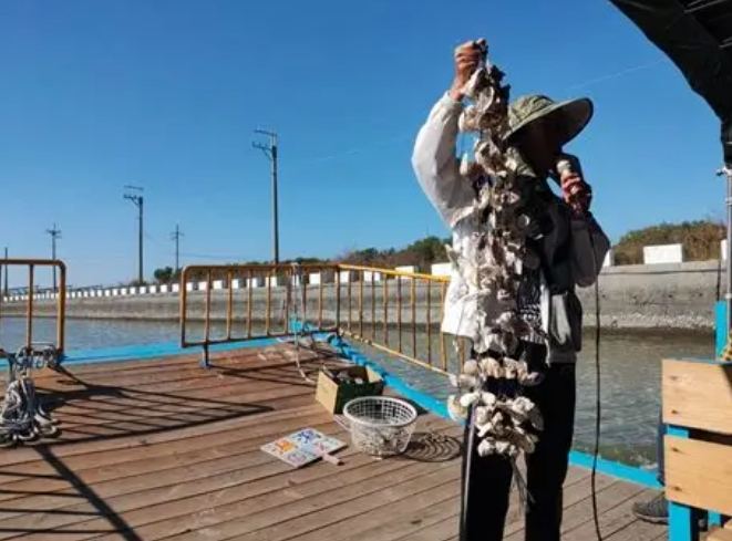 台南龍山號觀光竹筏