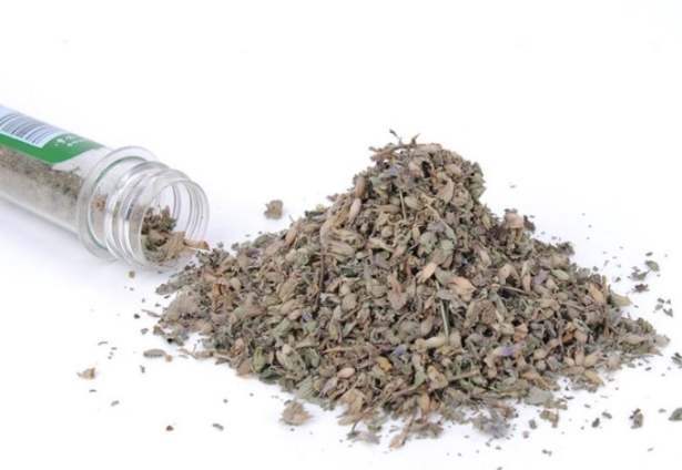 貓薄荷粉推薦品牌