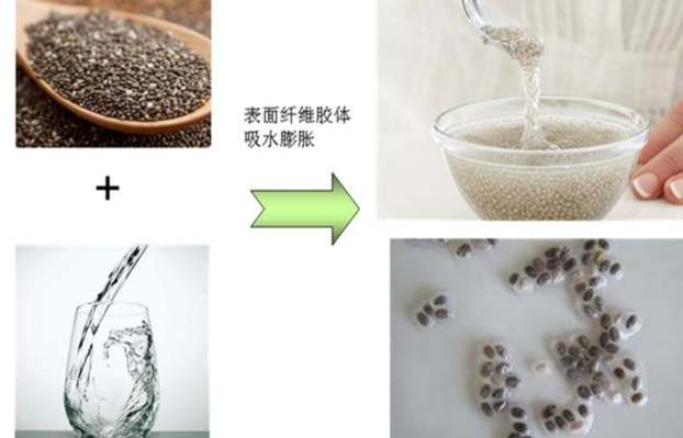 奇亞籽食用方法