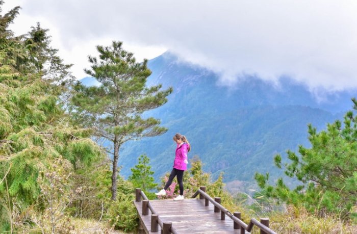 觀霧山莊旅遊攻略
