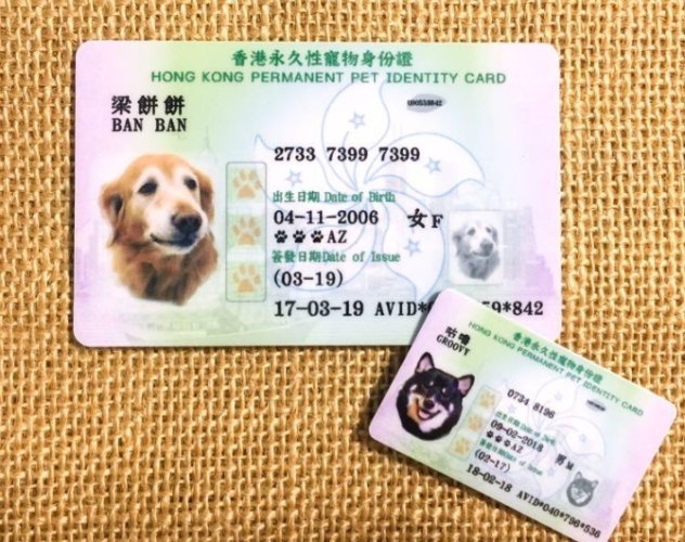 寵物登記證申請流程