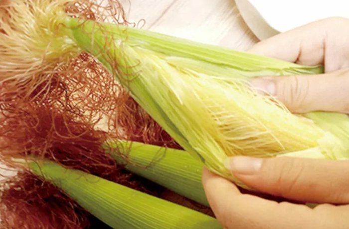 玉米鬚茶功效早上