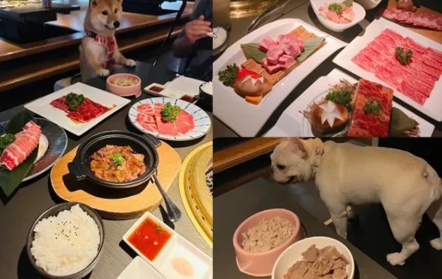 寵物友善餐廳新竹