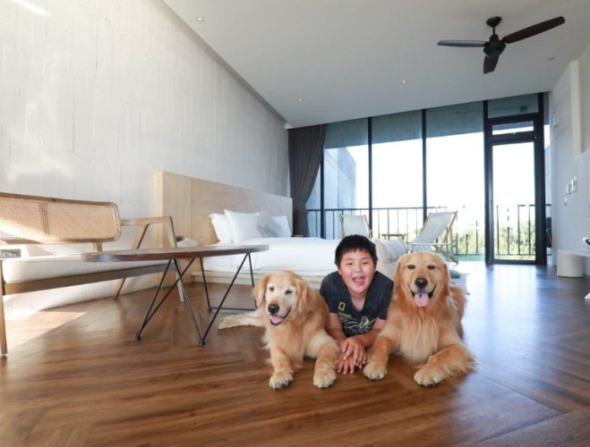 嘉義包棟民宿推薦