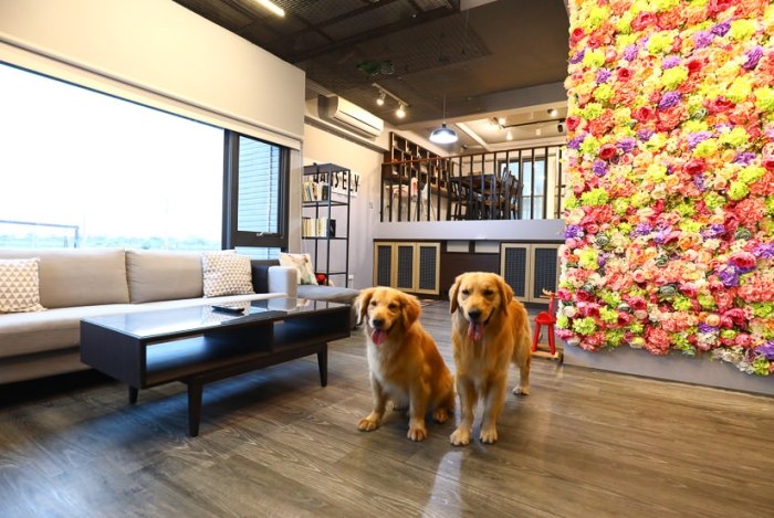 寵物友善民宿嘉義