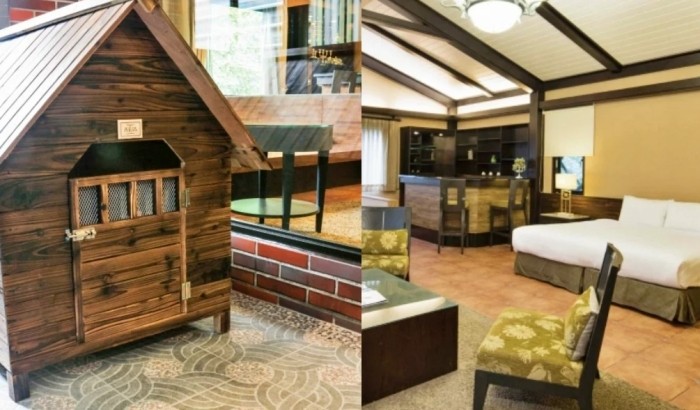 宜蘭寵物友善室內景點