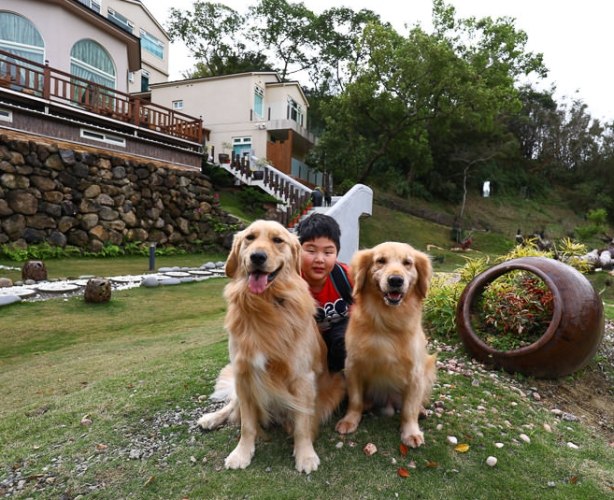 宜蘭帶寵物室內場所