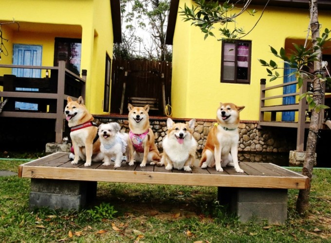 嘉義包棟民宿推薦