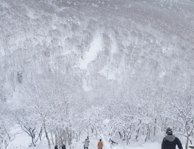 二世谷滑雪場票價