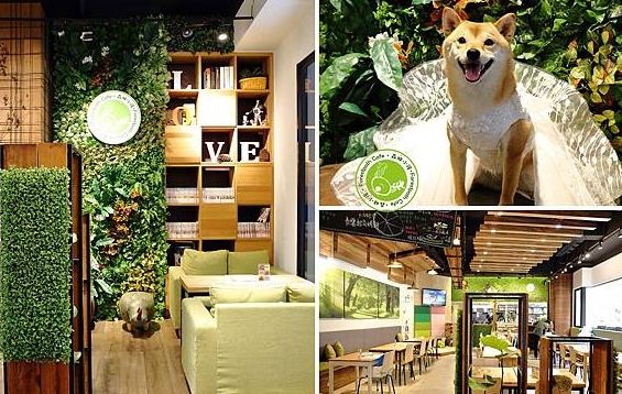 宜蘭寵物友善景點推薦