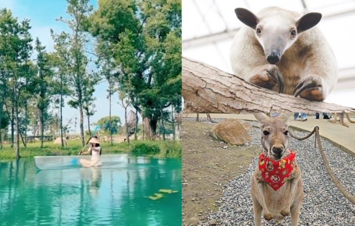 宜蘭帶寵物室內場所