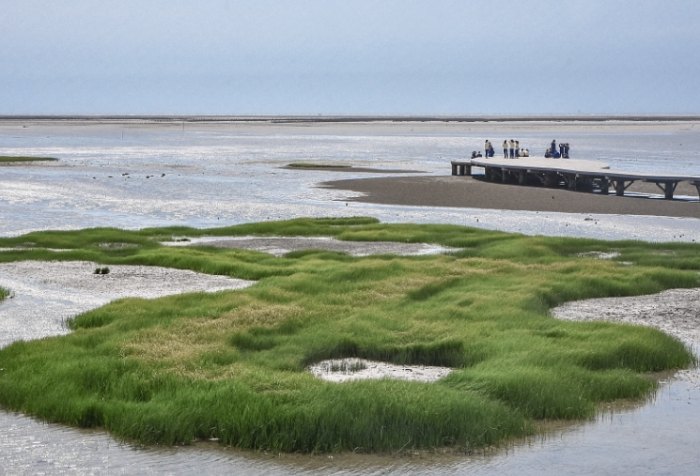西部濱海公路路線
