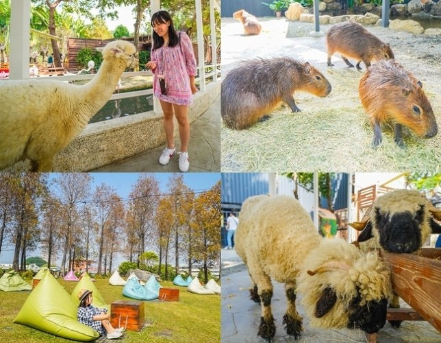 基隆動物互動體驗