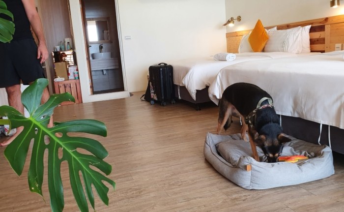 寵物友善民宿嘉義