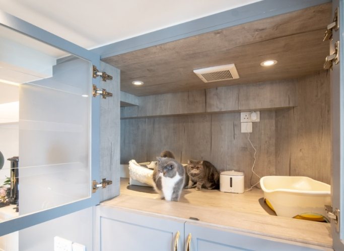 宜蘭寵物友善景點推薦