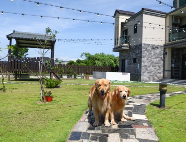 寵物友善民宿嘉義