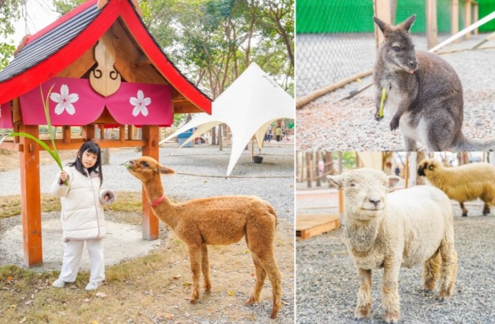 基隆動物互動體驗