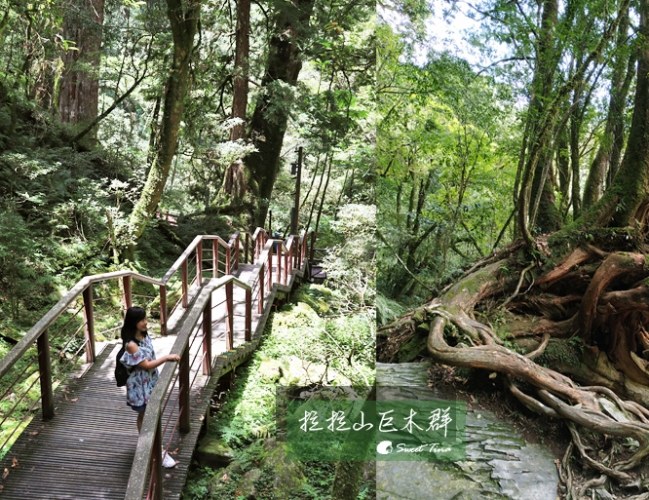 桃園輕旅行攻略