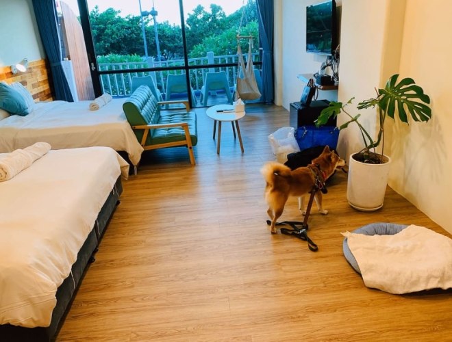 梅山寵物友善民宿