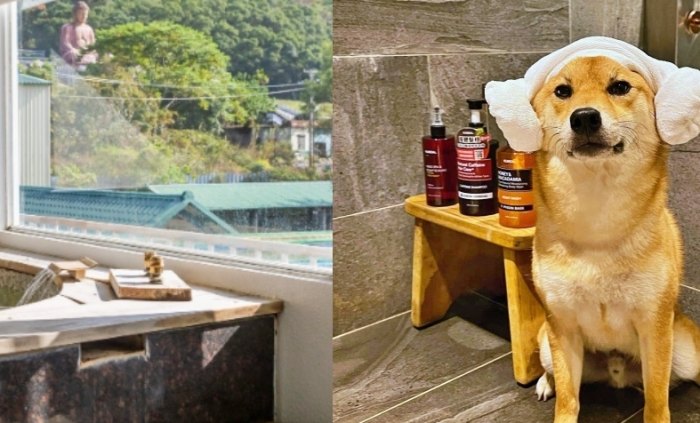 梅山寵物友善民宿