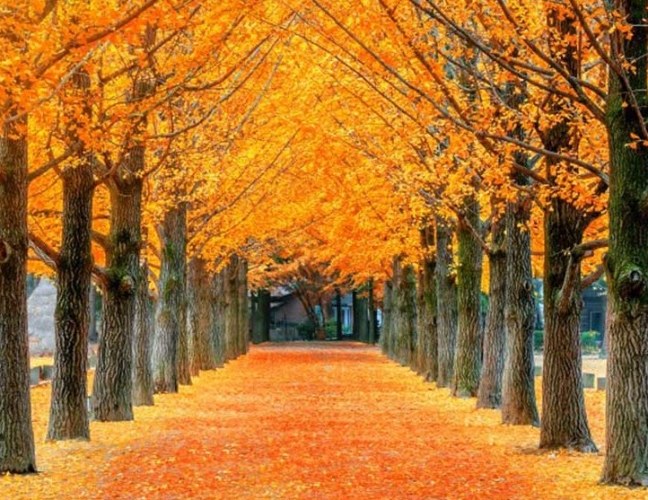 首爾近郊景點推薦